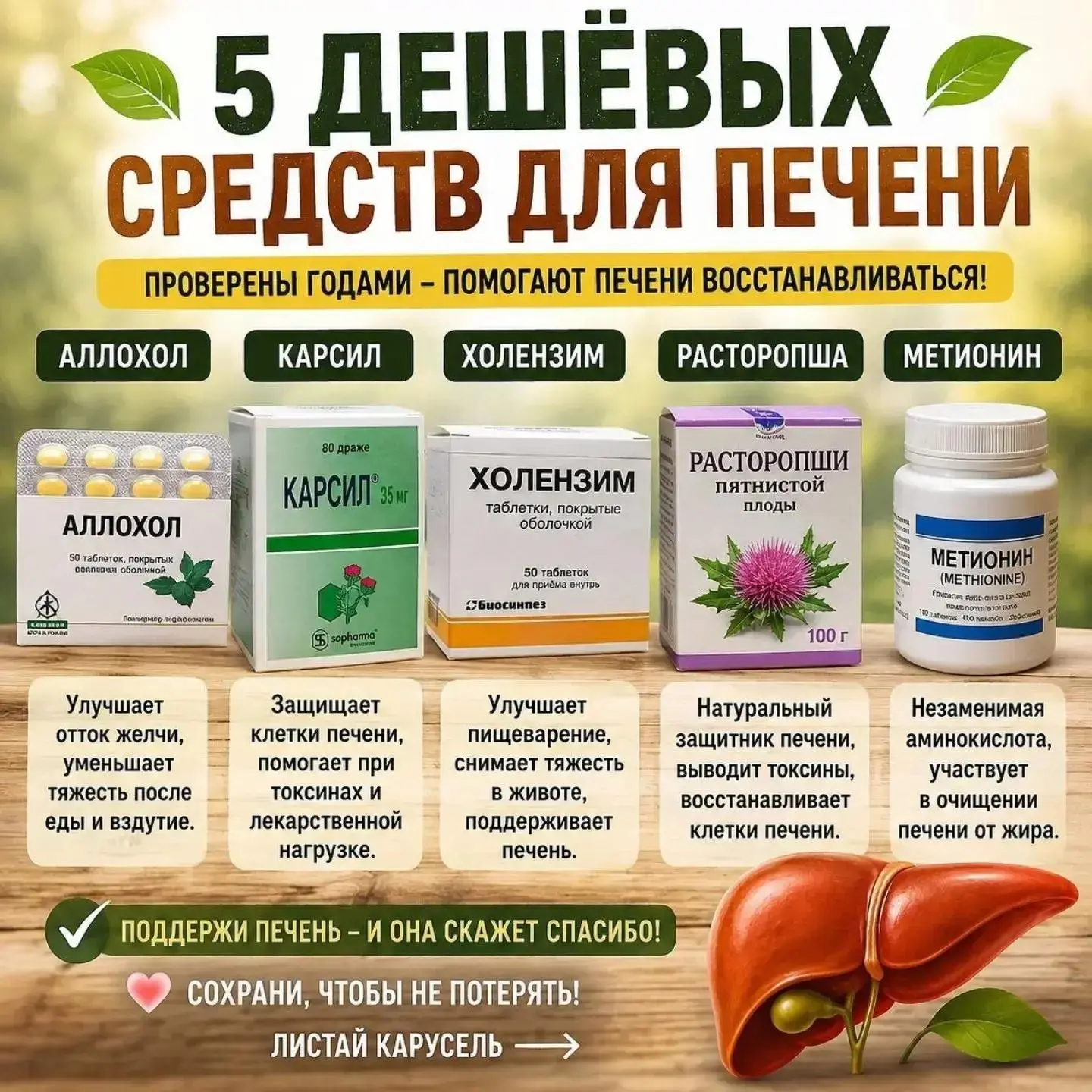 🍃 5 НЕДОРОГИХ СРЕДСТВ, КОТОРЫЕ ЧАСТО ИСПОЛЬЗУЮТ ДЛЯ ПОДДЕРЖКИ ПЕЧЕНИ 🍃