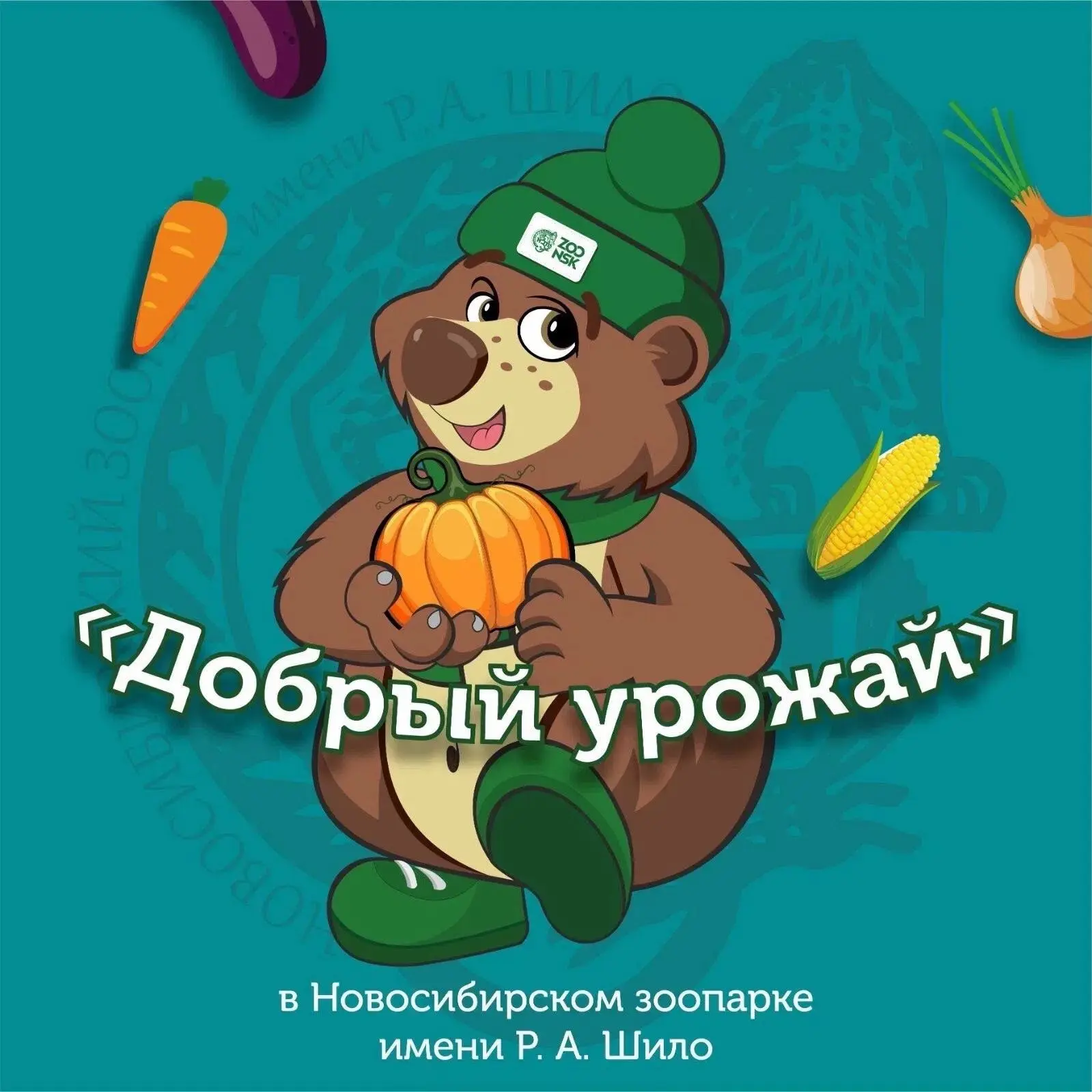 🍎 В Новосибирском зоопарке стартовала ежегодная акция «Добрый урожай»