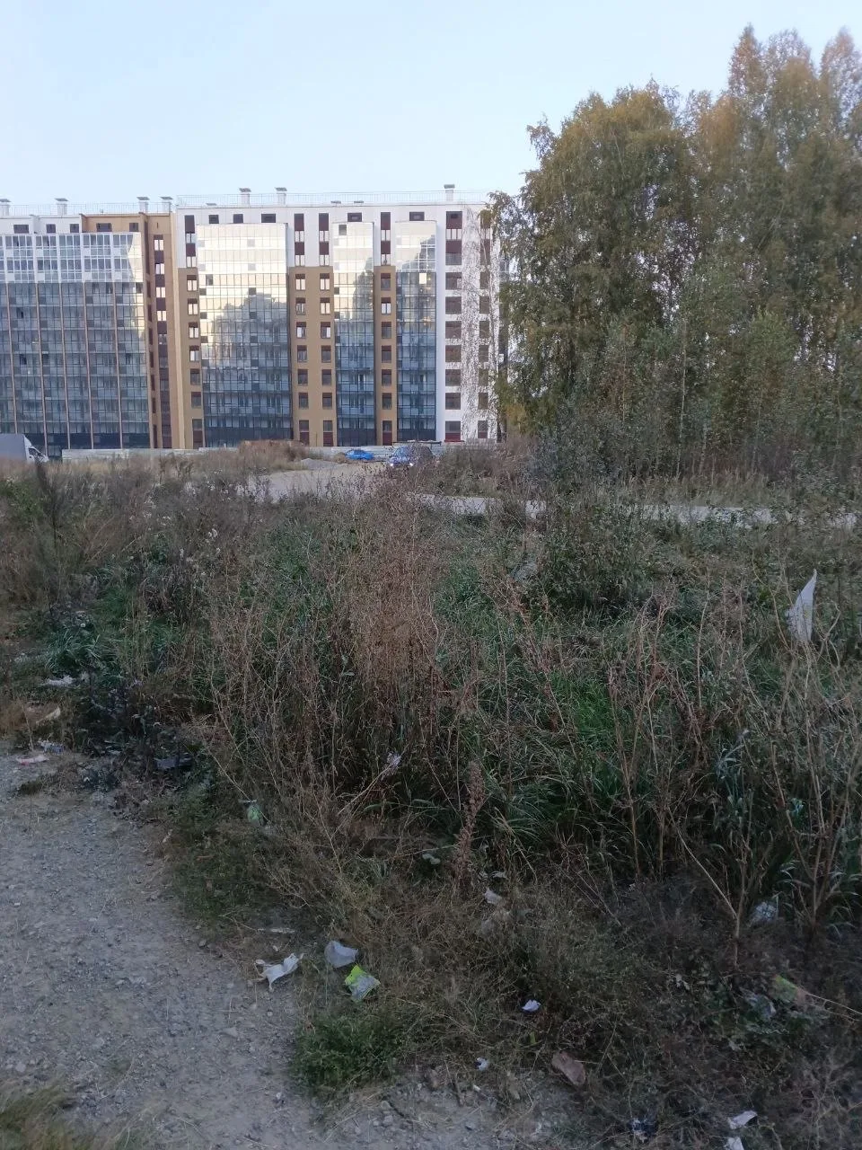 🗑 Улица Маршала Чуйкова в Челябинске утопает в мусоре