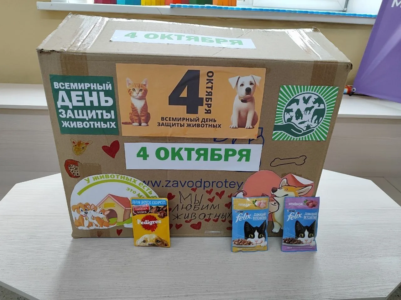 Дорогие друзья!