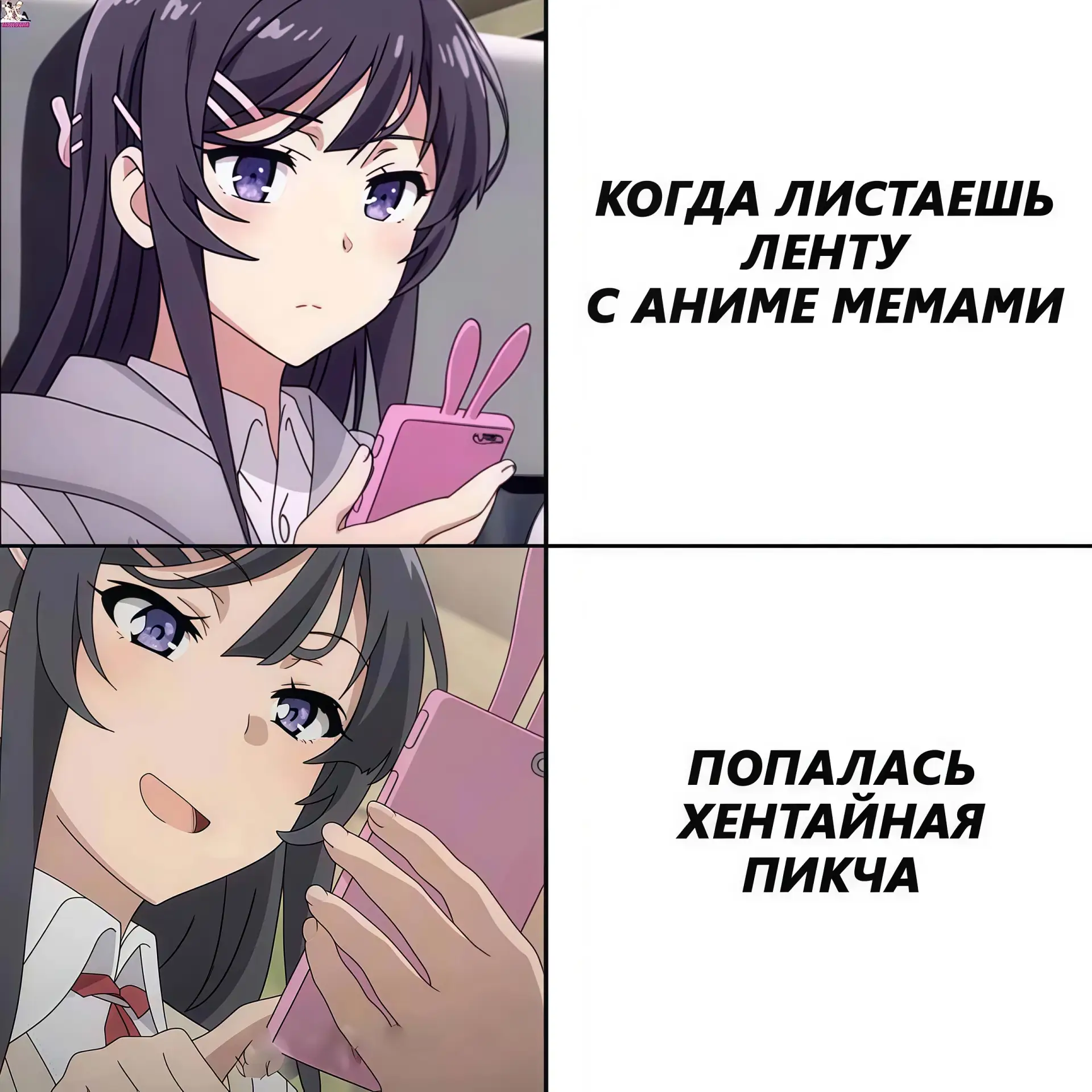 🔘 наши проекты