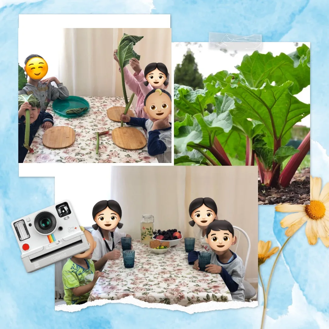 🥬Напиток для здоровья🥤🥤

☀️Сегодняшнее занятие стало для наших маленьких исследователей🤓🔎🕵🏻‍♀