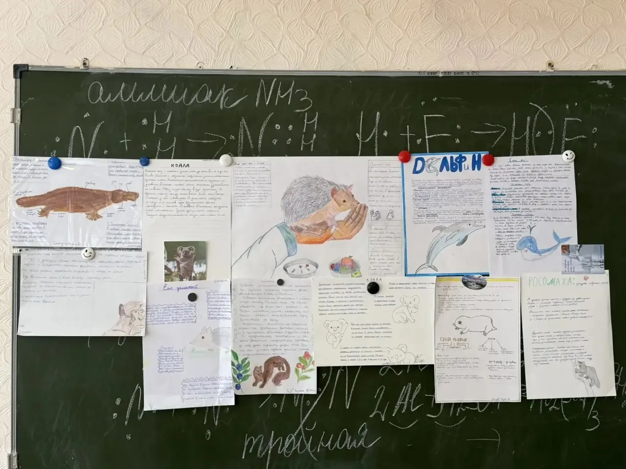 В 8-х классах прошёл урок на тему «Многообразие млекопитающих и их значение в природе и жизни челове