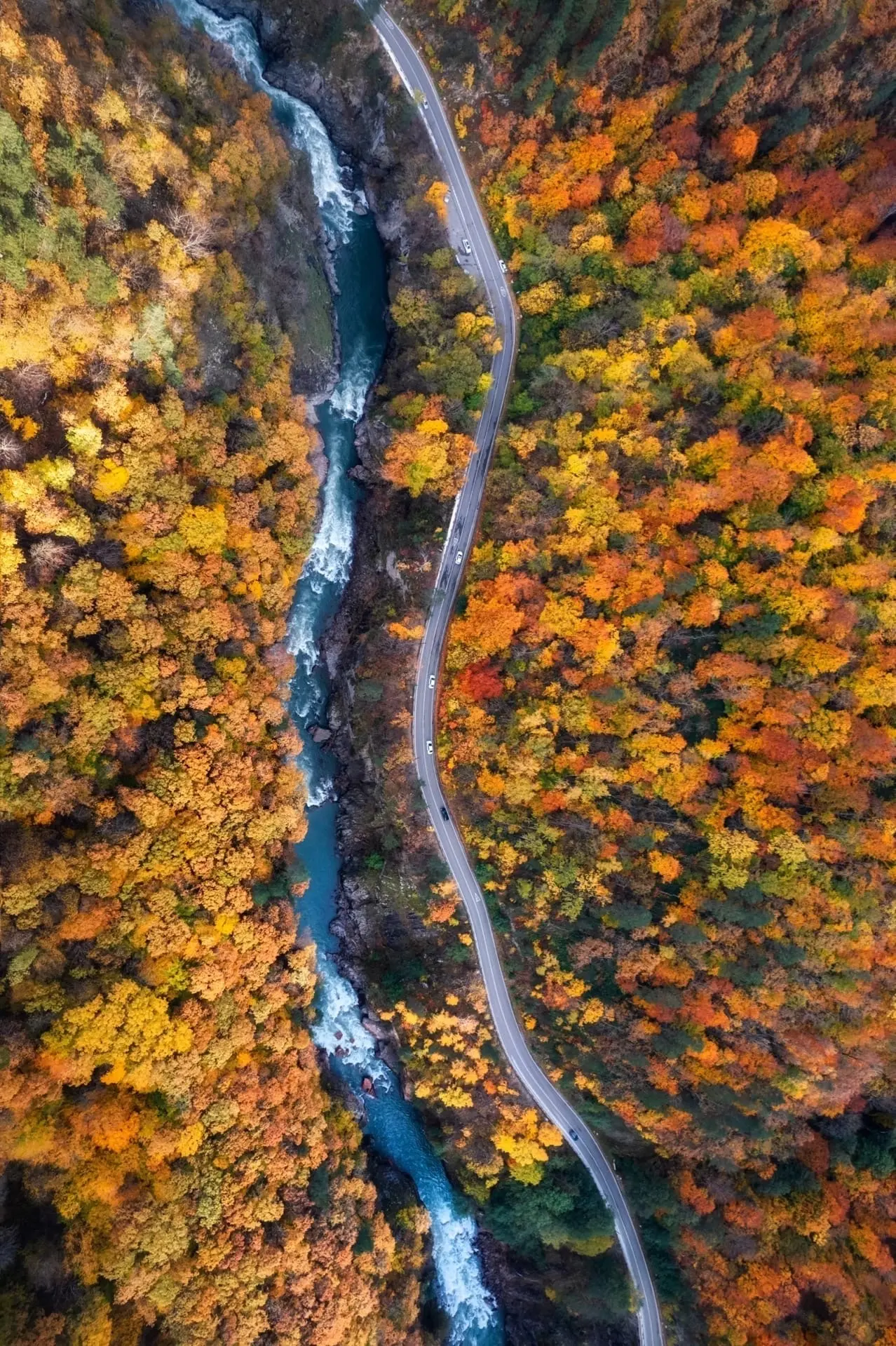 Потрясающая осень в фотографиях Дмитрия Войнова 🍁