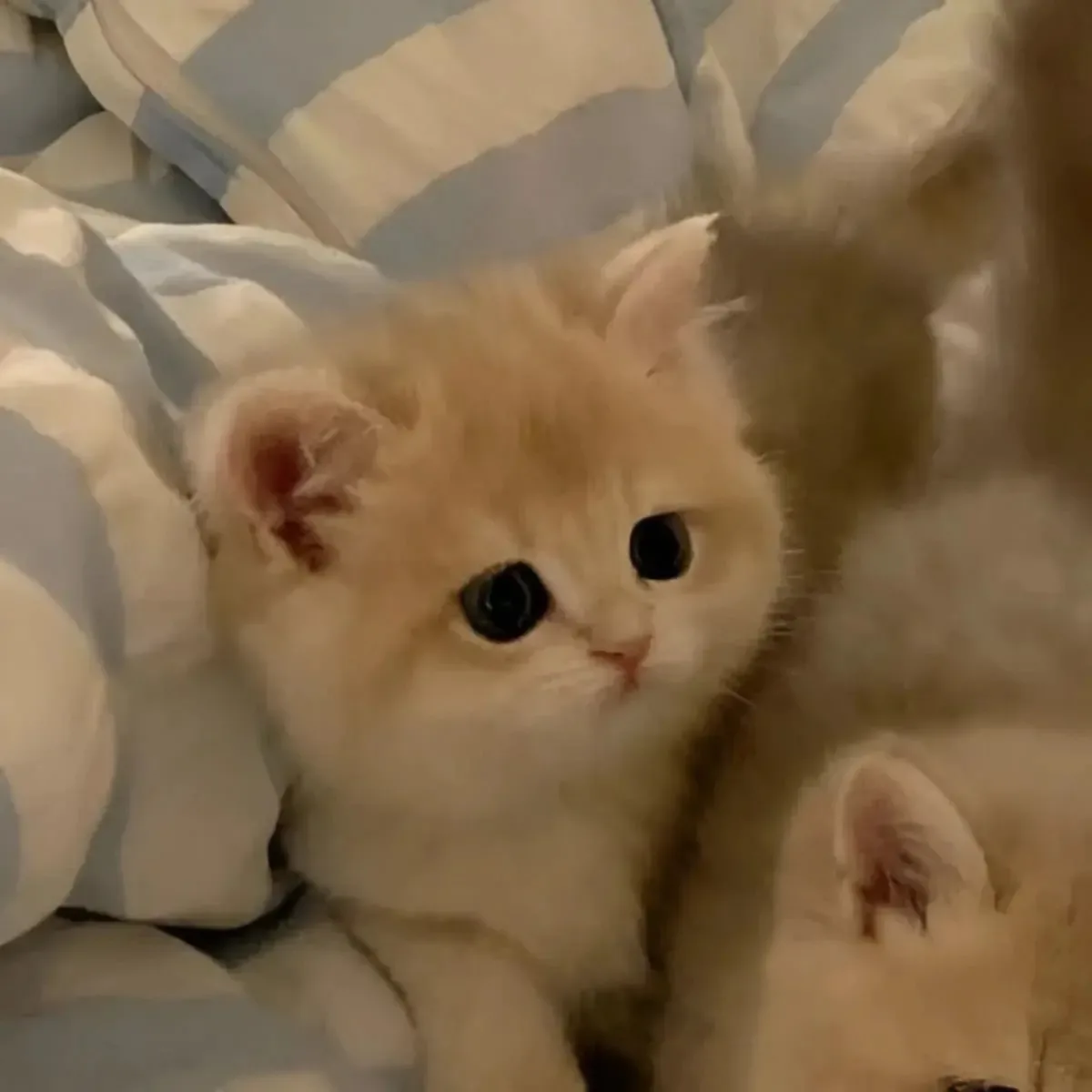 ❤️ - поставим