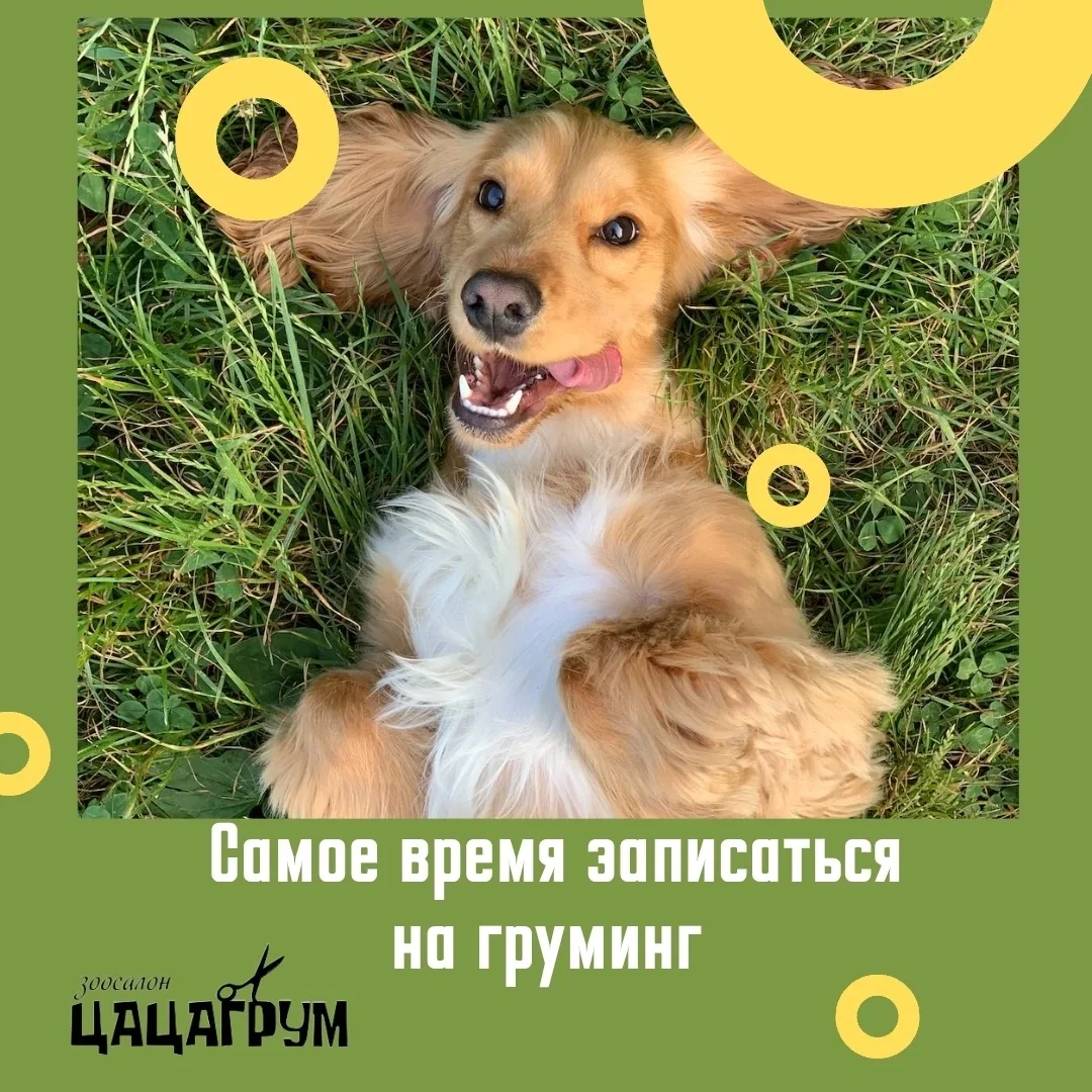 Ну что, лето почти закончилось: дачные приключения подходят к финалу, отпускные чемодан...