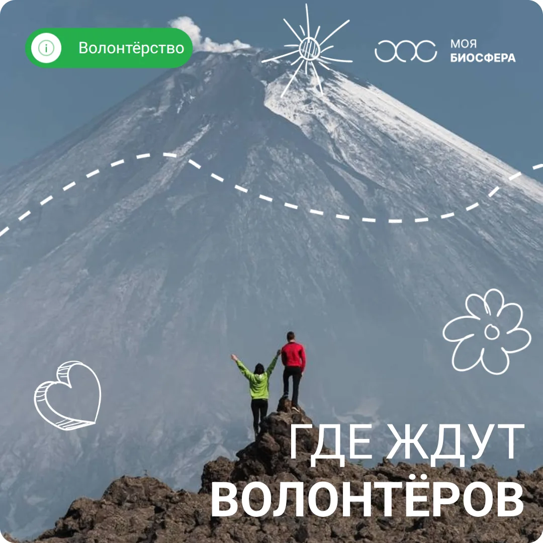 🌿 Хотите сменить городской шум на гул вулканов?