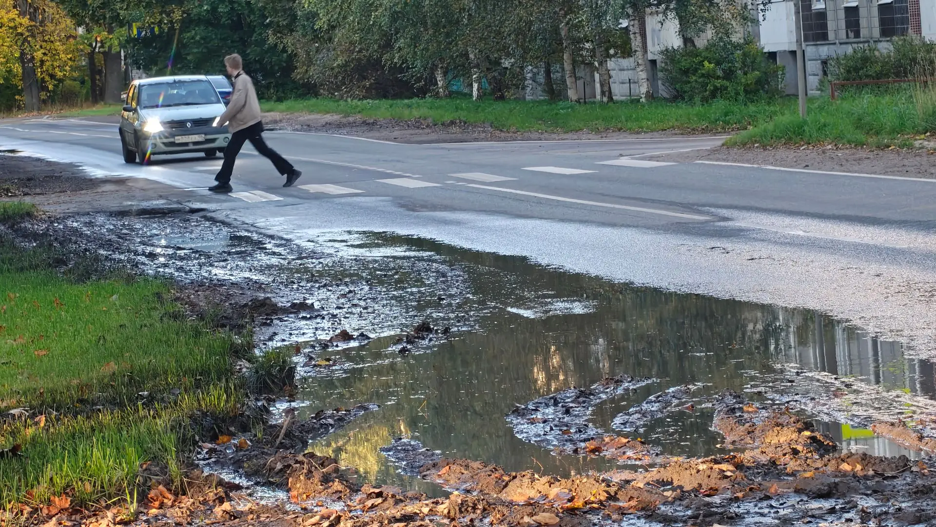 Газон на Лермонтова в котором ежегодно и стабильно топят бюджетные деньги.