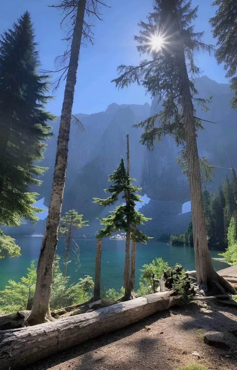 ☀️ Не все задачи нужно нести в одиночку.