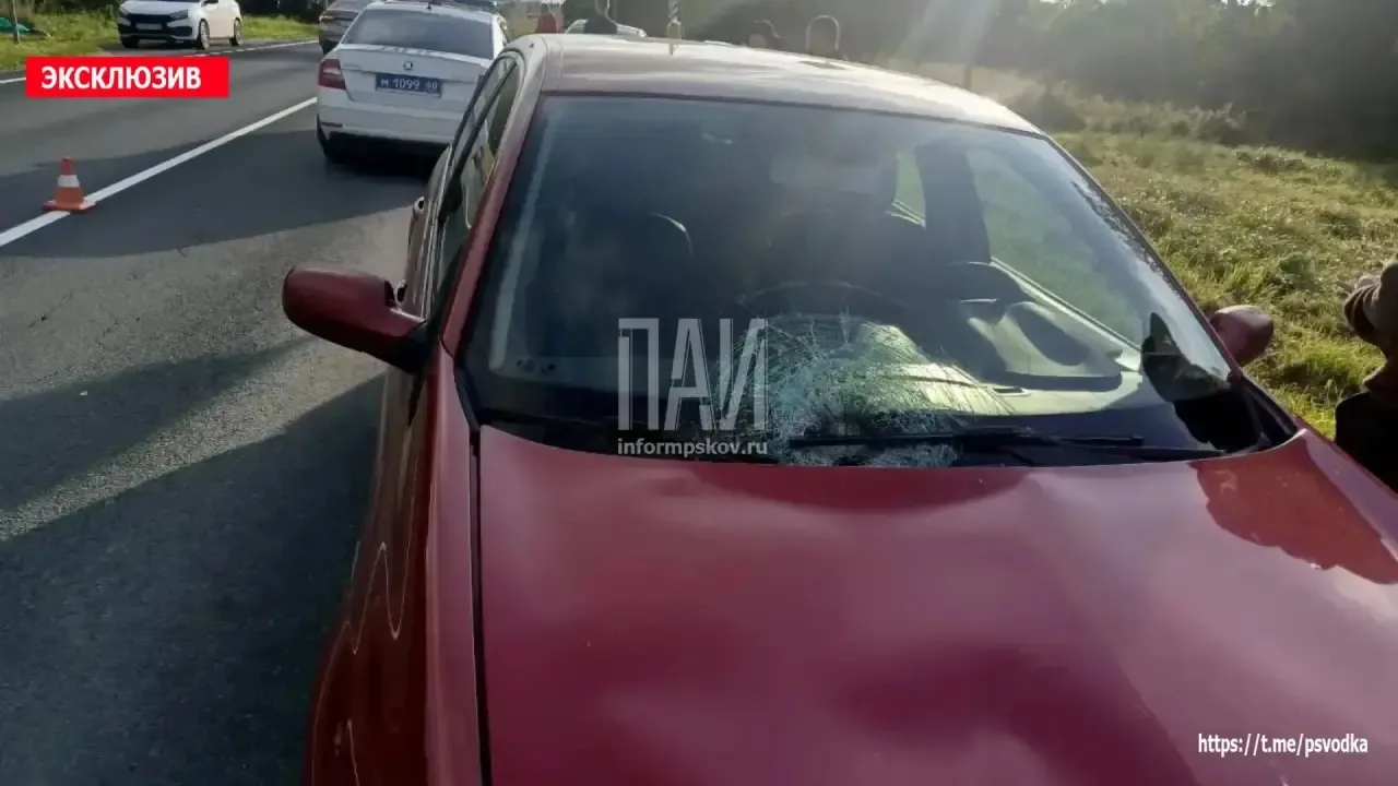 Девушку госпитализировали после наезда автомобиля в Порховском районе.