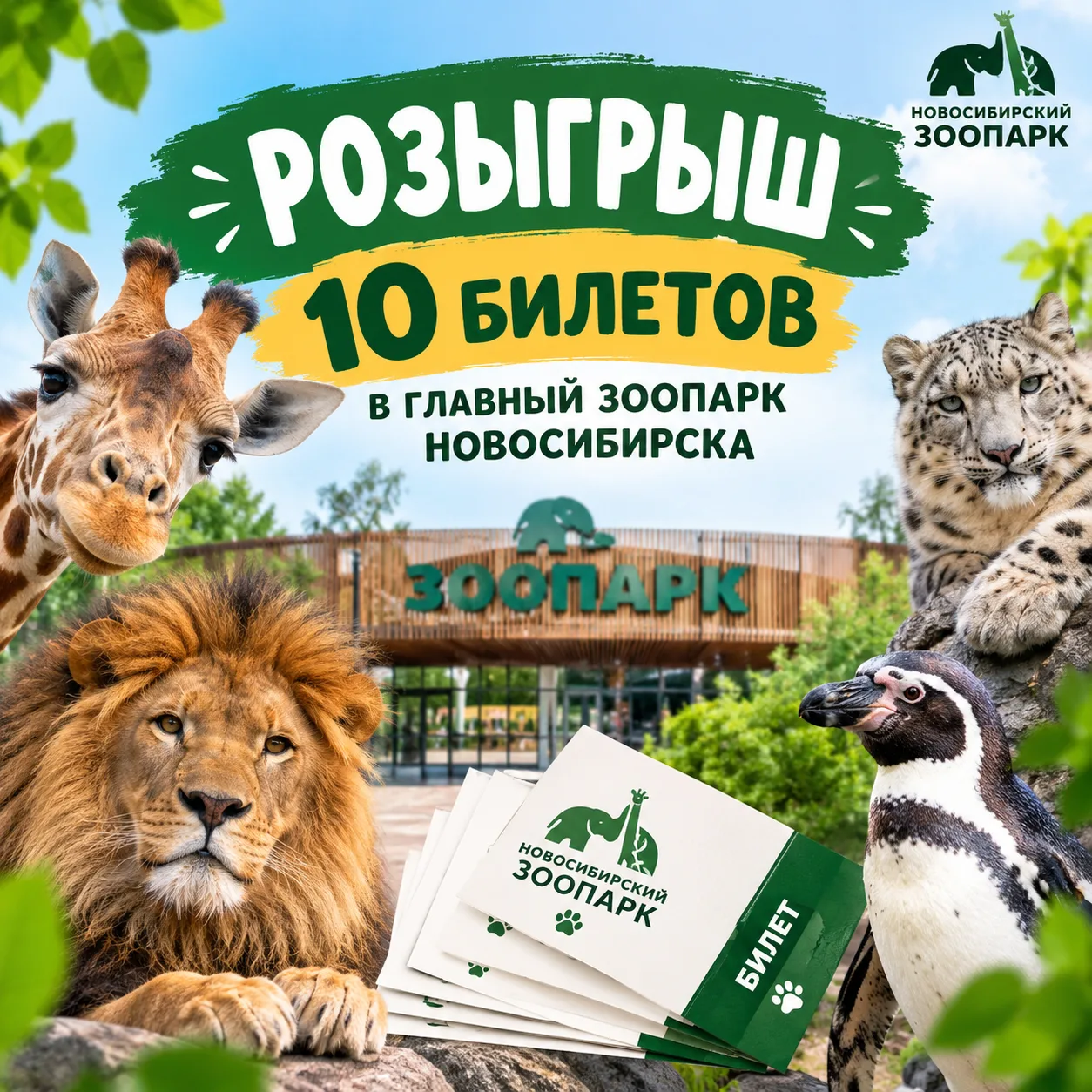 Дарим 10 билетов в Зоопарк Новосибирска за подписку!