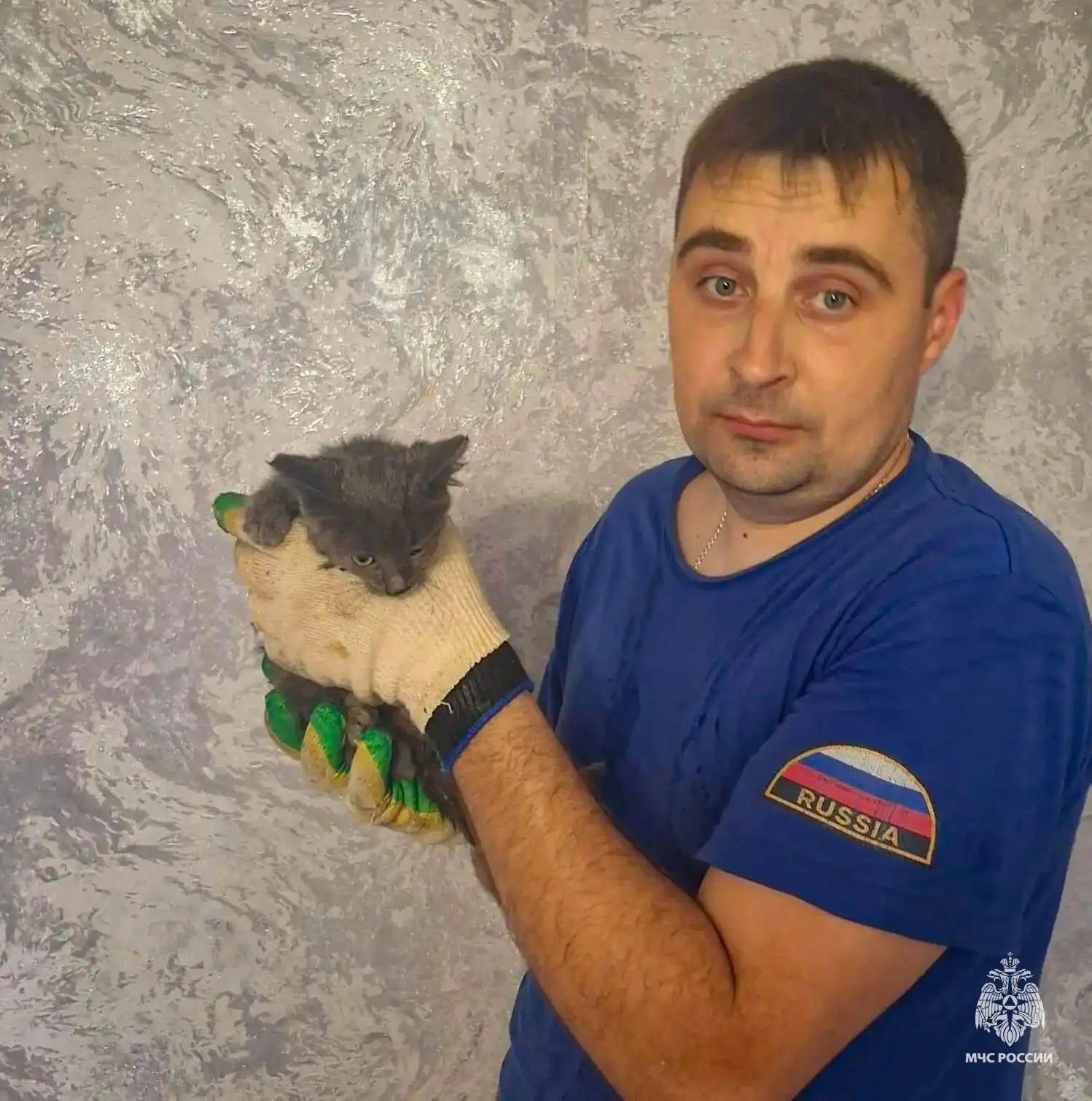 🐈‍⬛ Начнем этот день с доброй новости, которая растопит ваше сердце.
