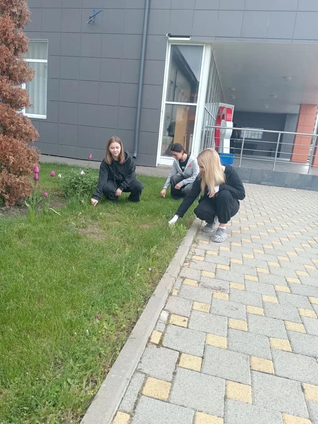 🌿 Субботник в нашей школе!🌿  В нашей школе прошёл субботник. Ученики, учителя вместе убирали террито