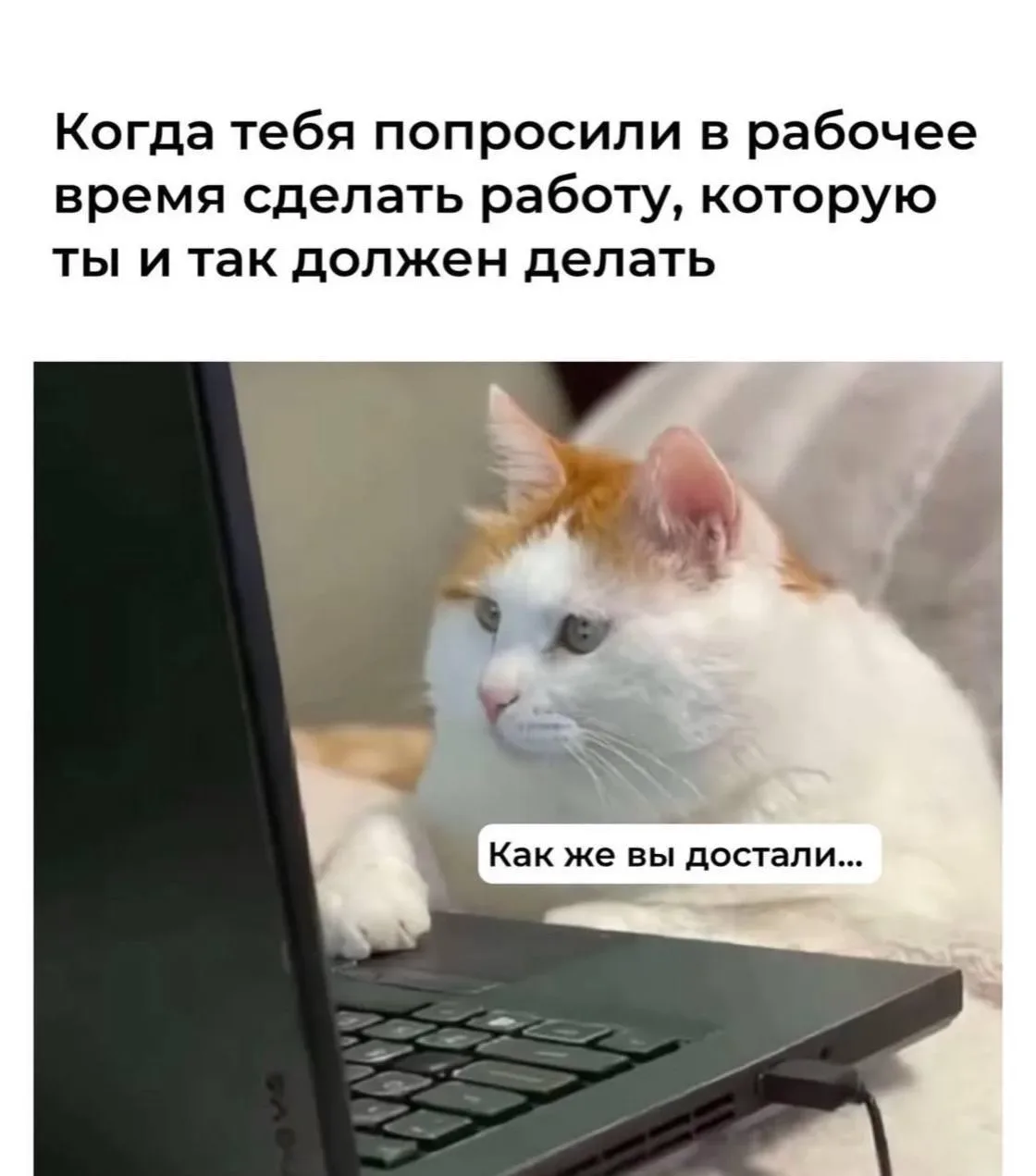 Счастливых выходных! Режим 'недоступен' активирован. Все вопросы переносятся на 'когда-...