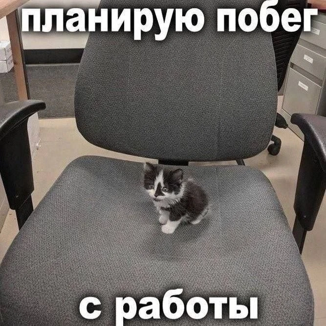 Бегите домой, в парки, на набережную или в бары! ☕️