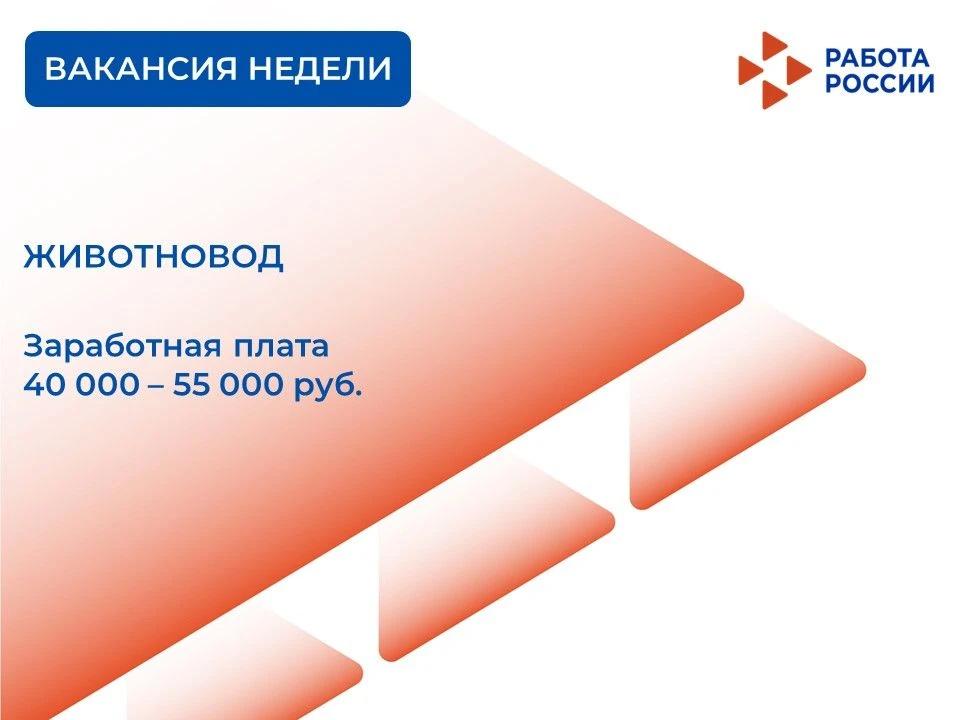 Животновод 🐄

Заработная плата 40 000 - 55 000 руб.

Должностные обязанности:

✅уход за животными
✅