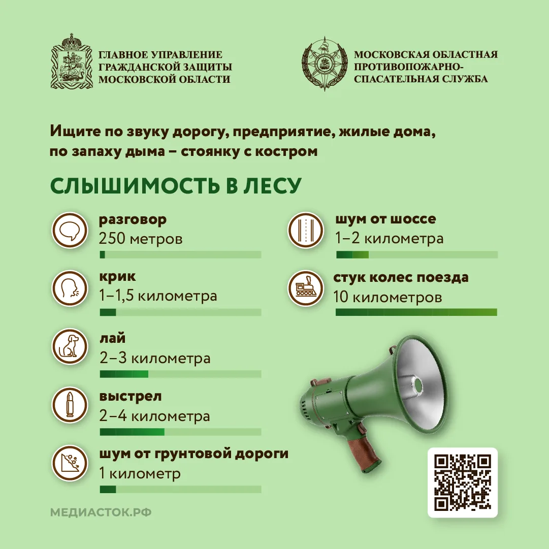 🌲Как подготовиться к походу в лес, что взять с собой, и как найти дорогу, если сбились с пути – чита