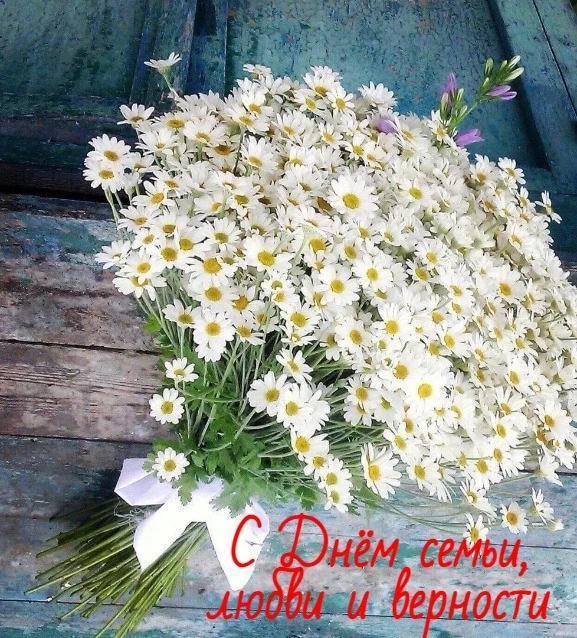 С Днем семьи, любви и верности!