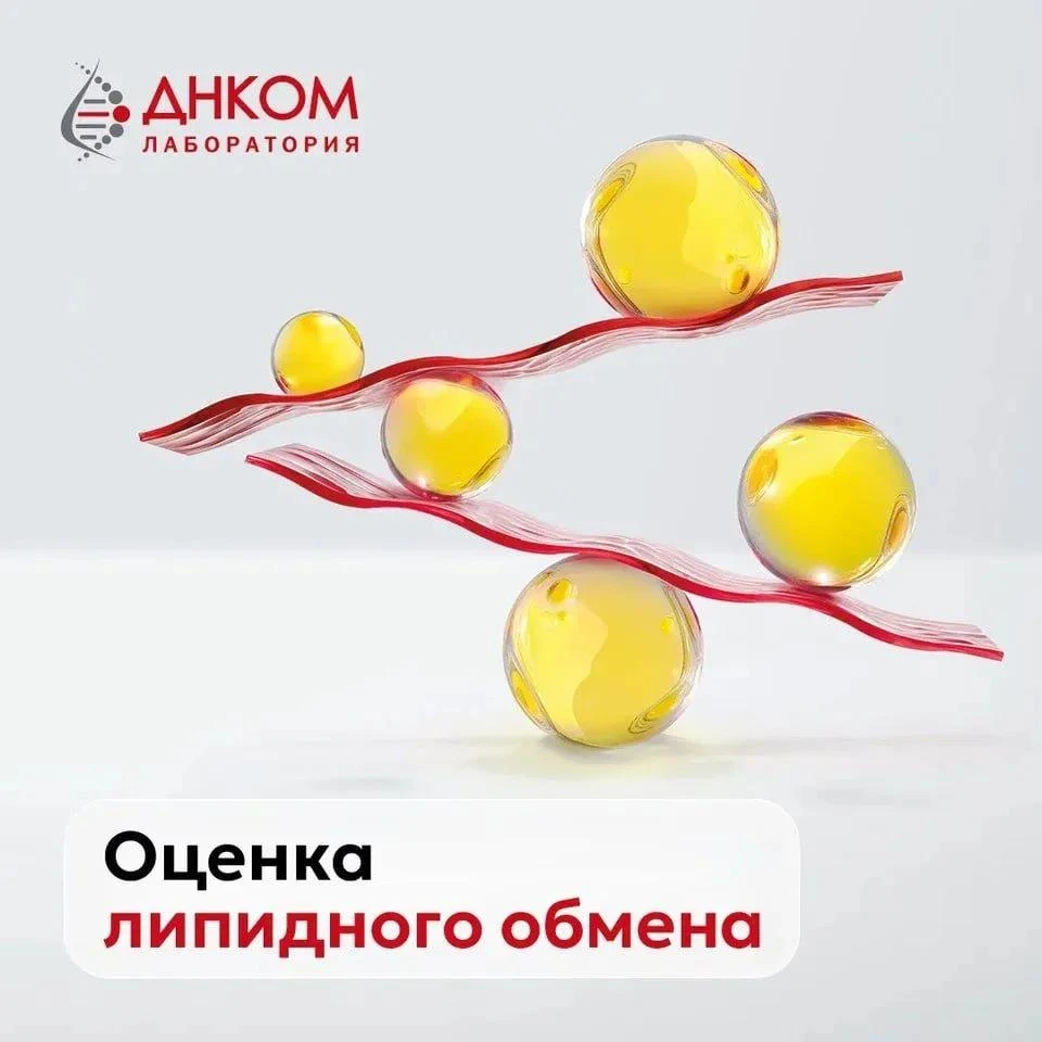 Холестерин в норме. Значит, за сердце можно не переживать? 🫀
