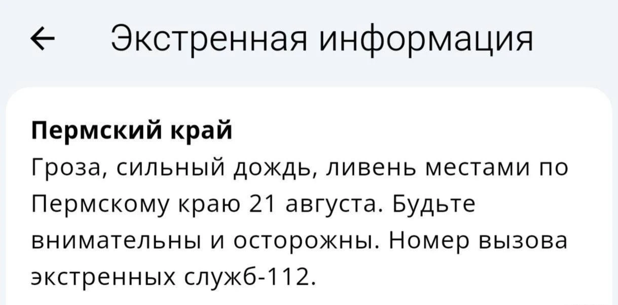🌧 Сегодня возьмите с собой зонт. Нам обещают грозу и ливень.