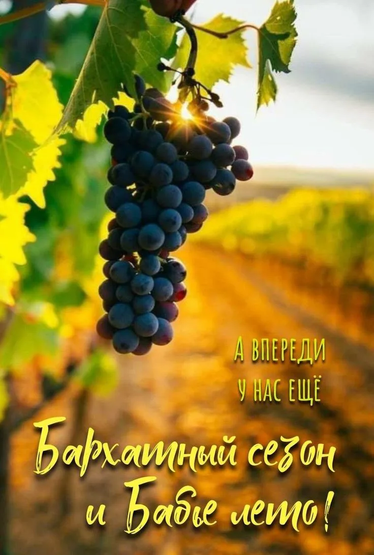 Ждём Август!
Интрига августа 💥:

💚 Отпуск на Самом экзотическом  курорте Французской Полинезии - о