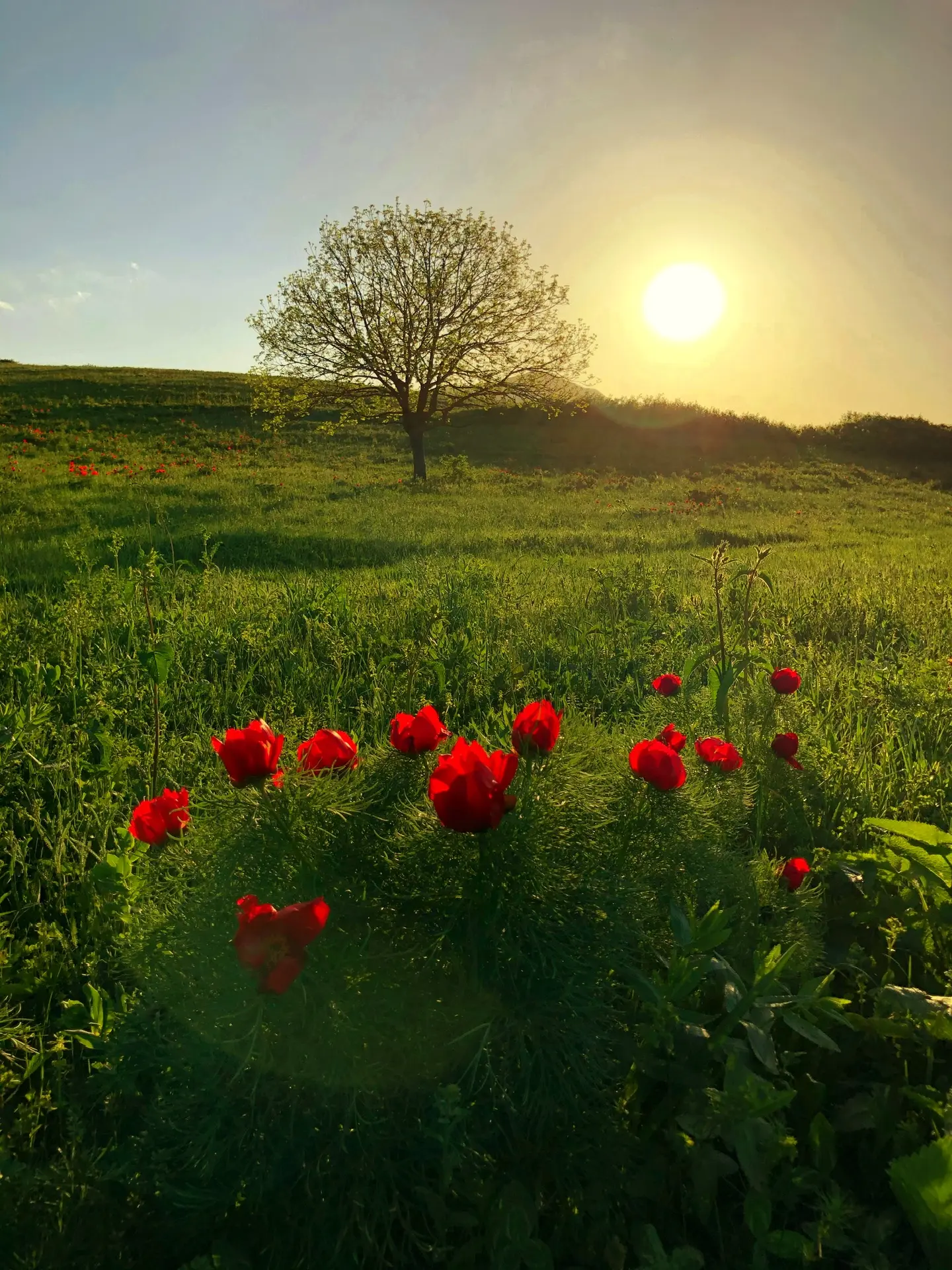 Вечерело 🌺🌅