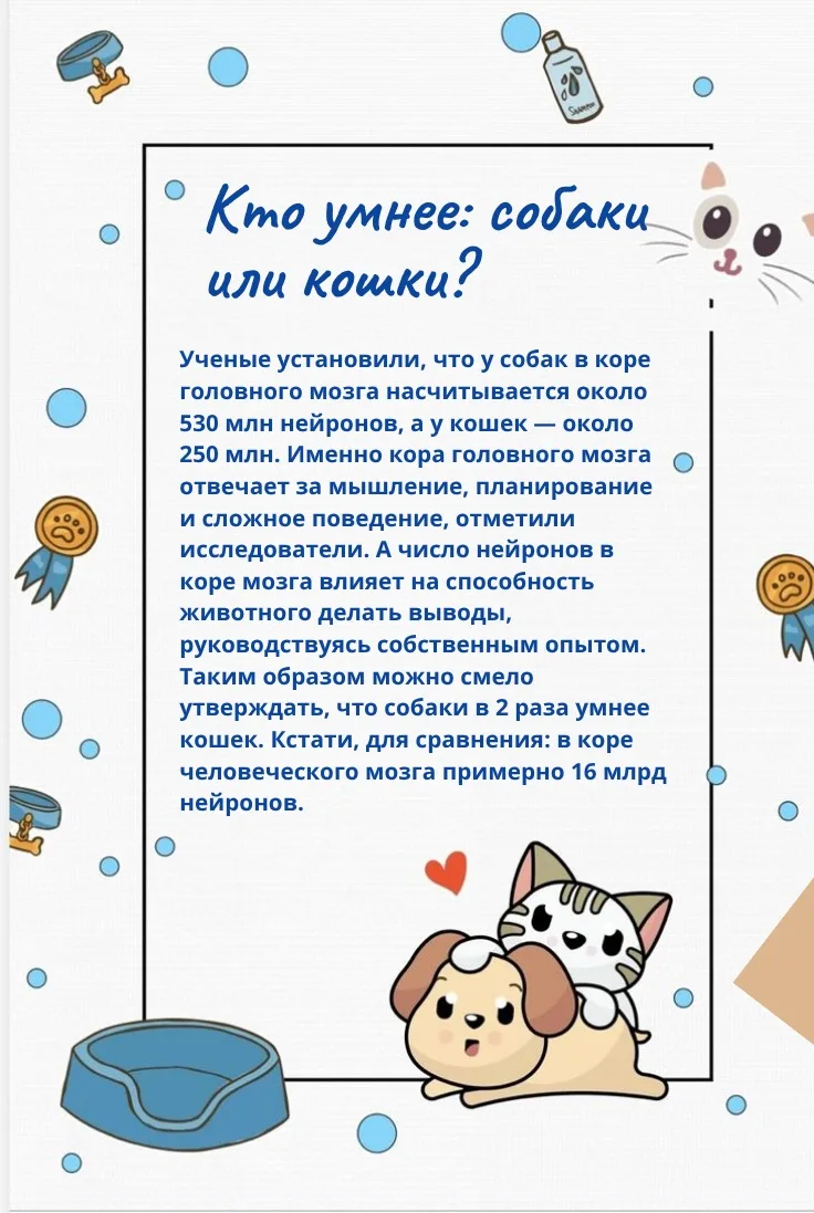 🐾 КТО УМНЕЕ: СОБАКИ ИЛИ КОШКИ? РАЗБИРАЕМСЯ ВМЕСТЕ! 🐾

Привет, друзья! 👋 Сегодня поговорим о наших