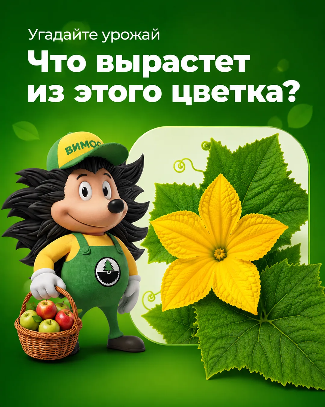 Садоводы, давайте честно: вы уже догадались? 😏