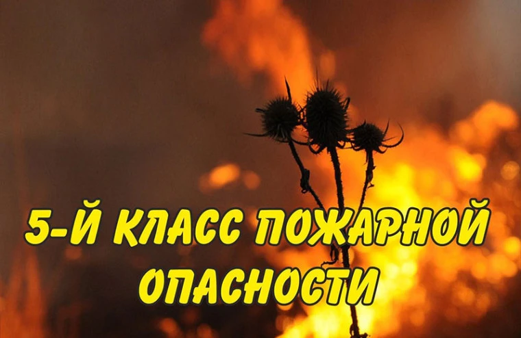 ⚠️ Внимание! Чрезвычайная пожарная опасность в Омской области!