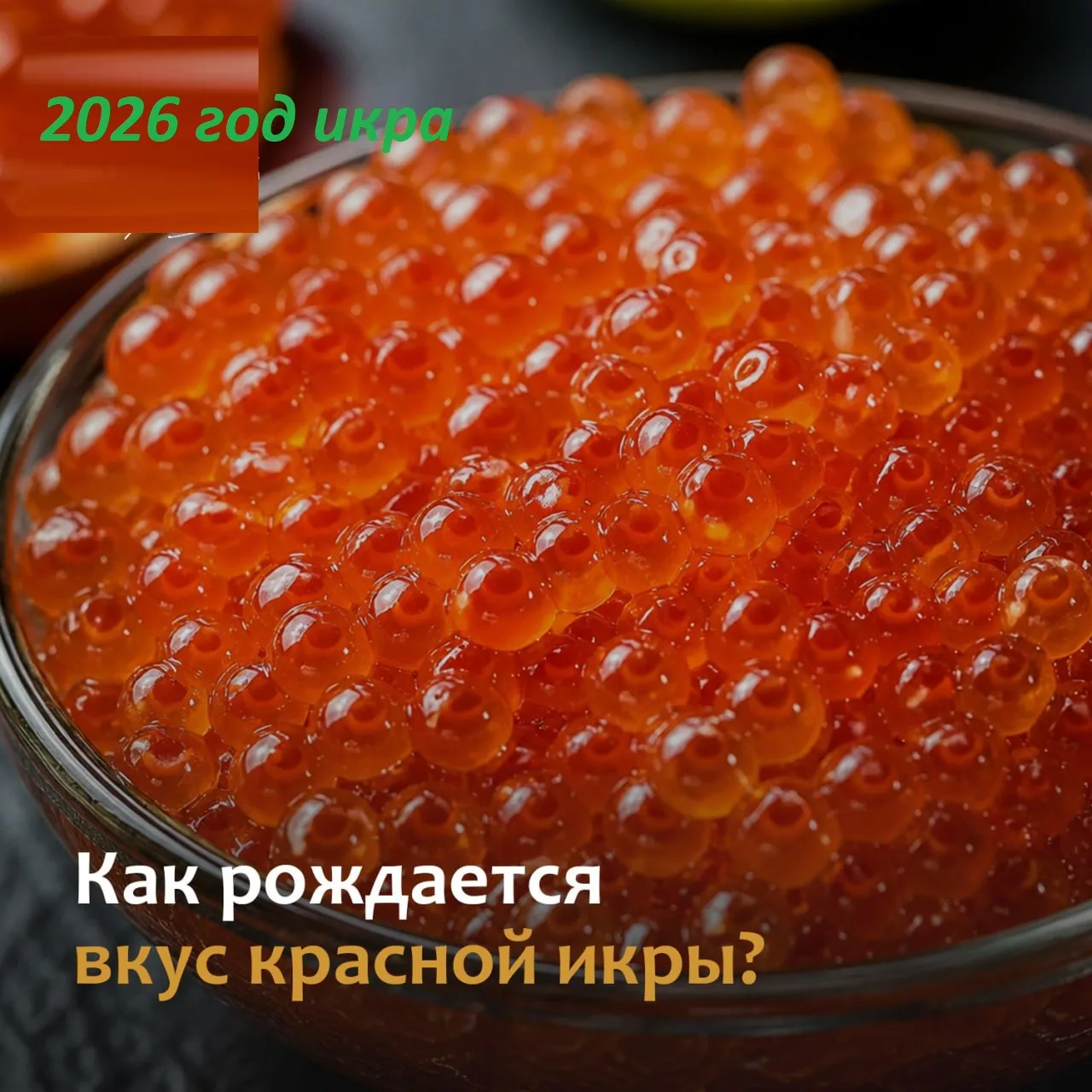 Как рождается вкус красной икры? 🐟✨