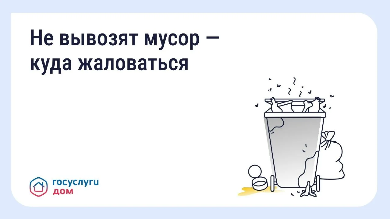 Что делать, если вовремя не вывозят мусор?