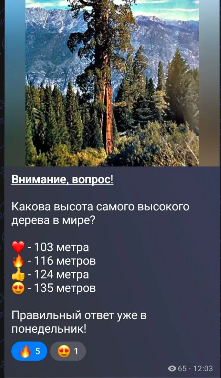 Подведем итоги!