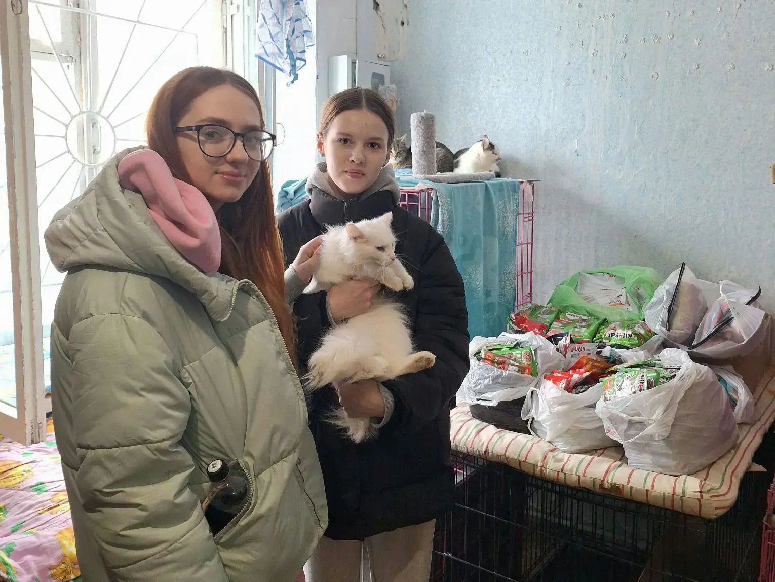 🌟 Совместная акция заботы: ученики Гимназии помогли бездомным животным р. п. Дорогино 🌟