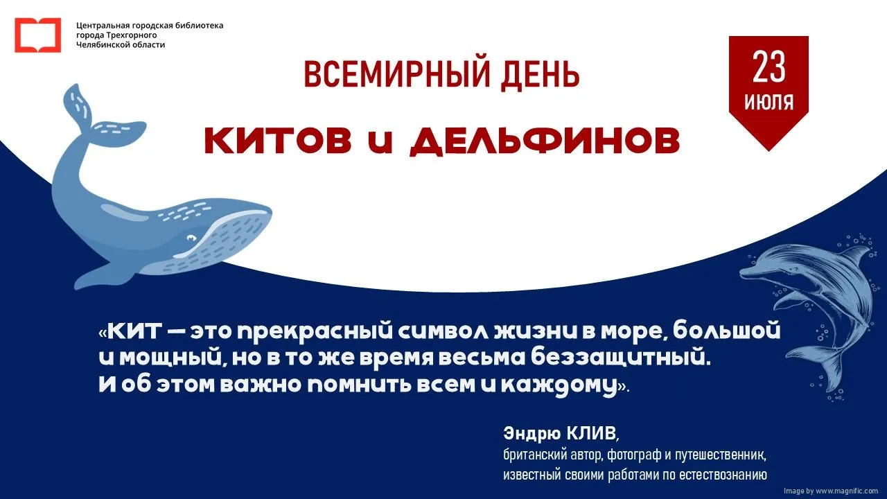 Ежегодно 23 июля отмечается Всемирный день китов и дельфинов. Именно в этот день в 1982 году после д