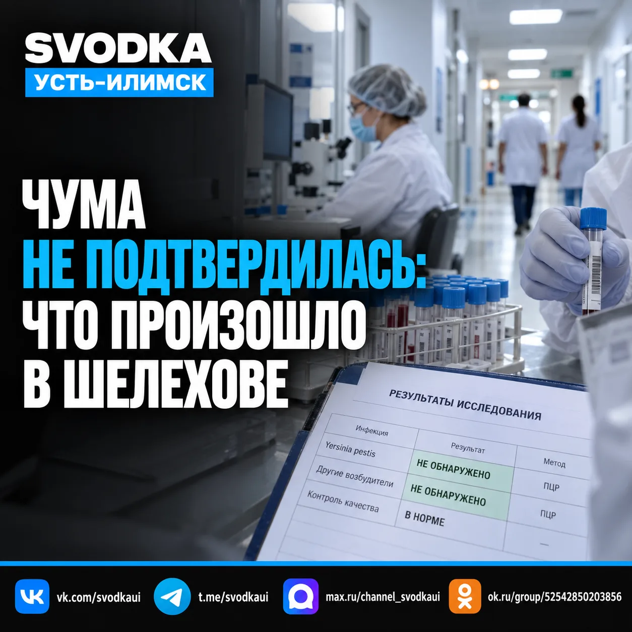 ⚠️ Чума не подтвердилась: что произошло в Шелехове