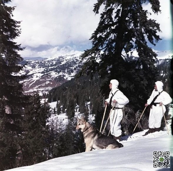 ПОГРАНИЧНАЯ ФОТОГРАФИЯ: Дмитрий Козлов. На границе. Дата съемки: 1961 год