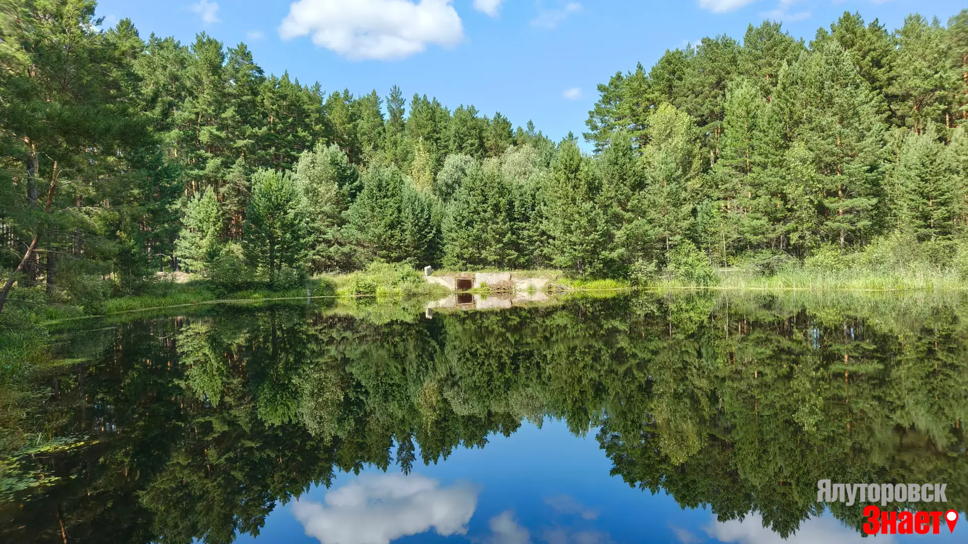 Заводопетровский лесной пруд пополнился водой. Это одно из самых живописных мест нашего района.