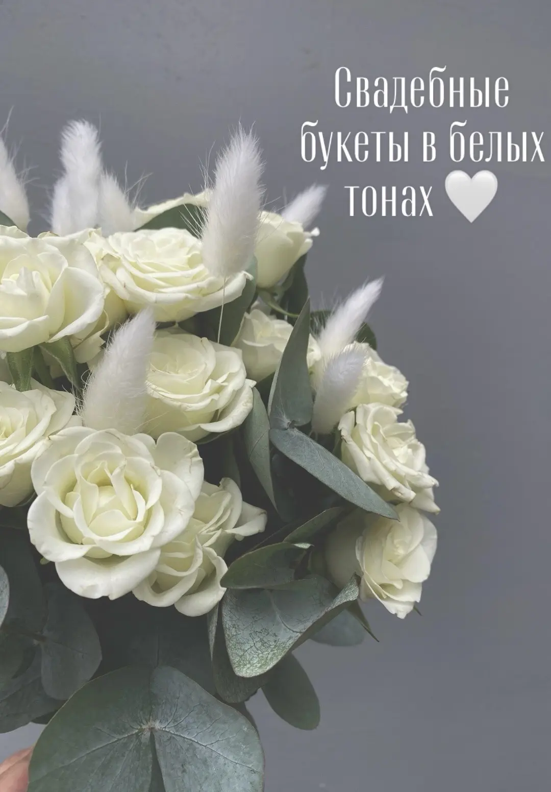 Цены актуальны на момент публикации*