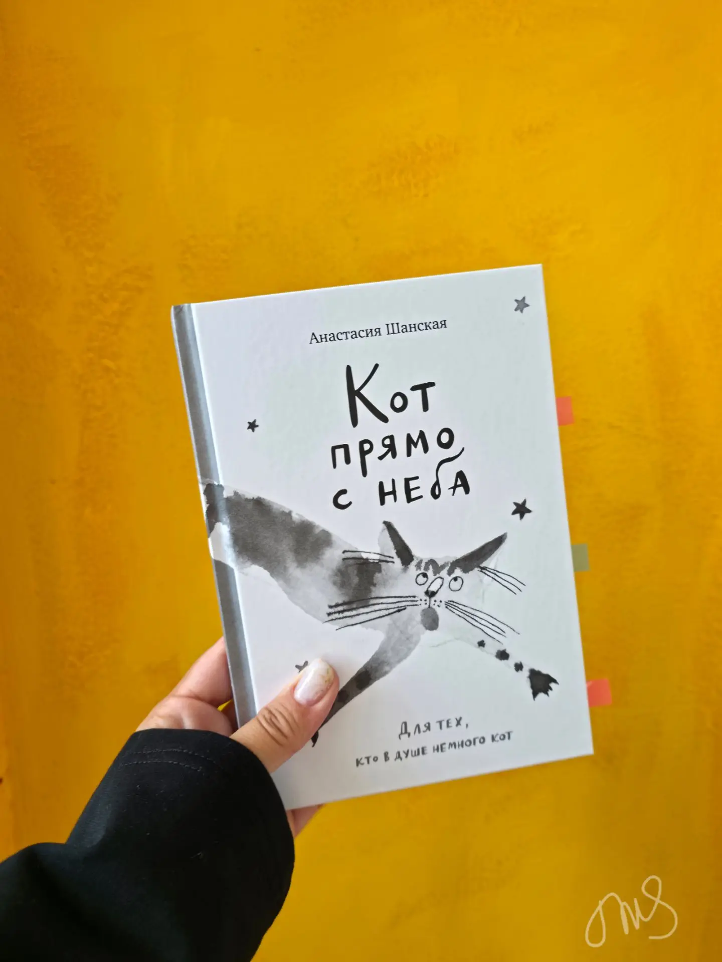 ДЛЯ ТЕХ, КТО В ДУШЕ НЕМНОГО КОТ

И, конечно, тех, кто о нем мечтает. И вот, почему👇

•главный герой