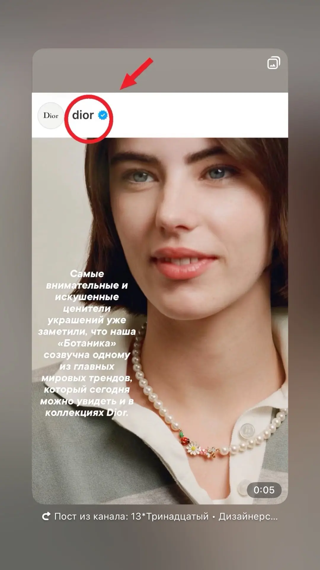 Самые внимательные и искушенные ценители украшений уже заметили, что наша «Ботаника» со...