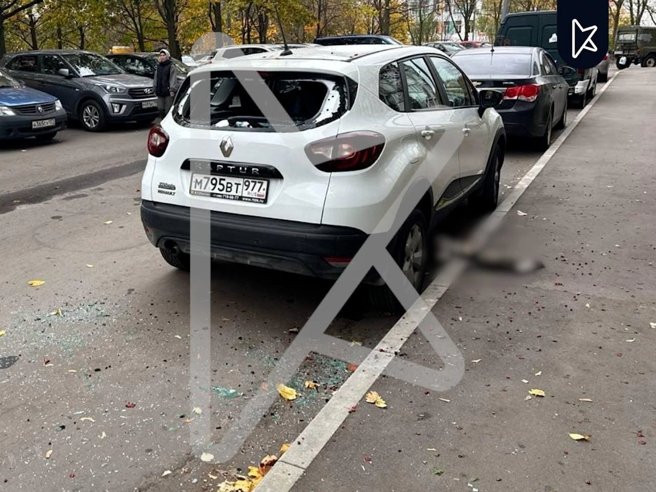 Неадекват выбросил четырёх кошек с 20-го этажа в Ясенево — ранее от его рук погибли две...