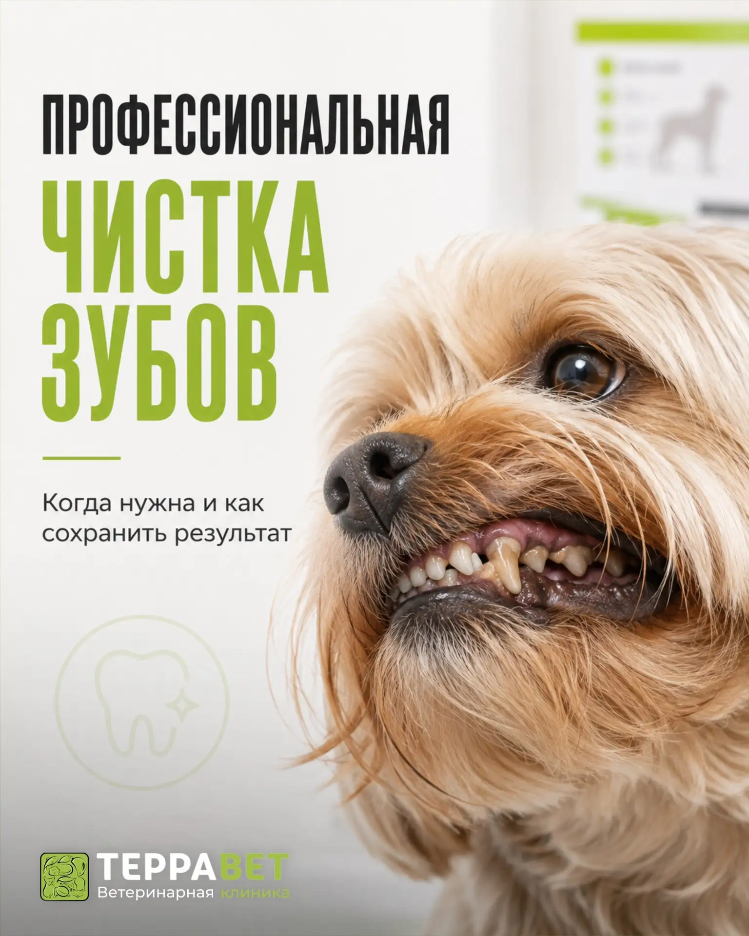 Профессиональная чистка зубов нужна не тогда, когда запах из пасти уже невозможно игнор...