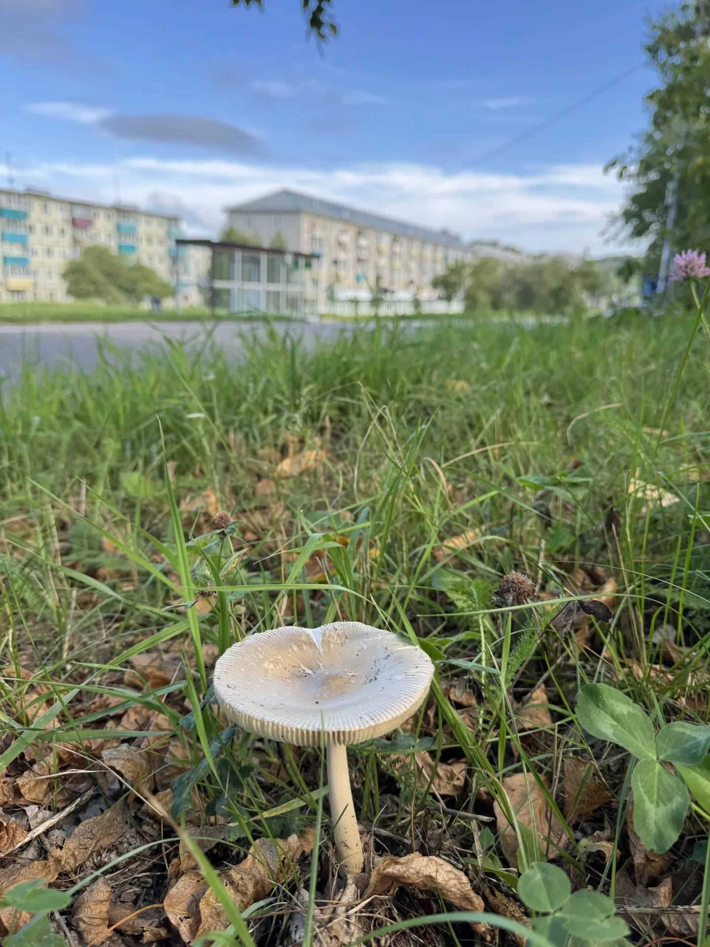 С пятницей вас, аМУРчики ❤️