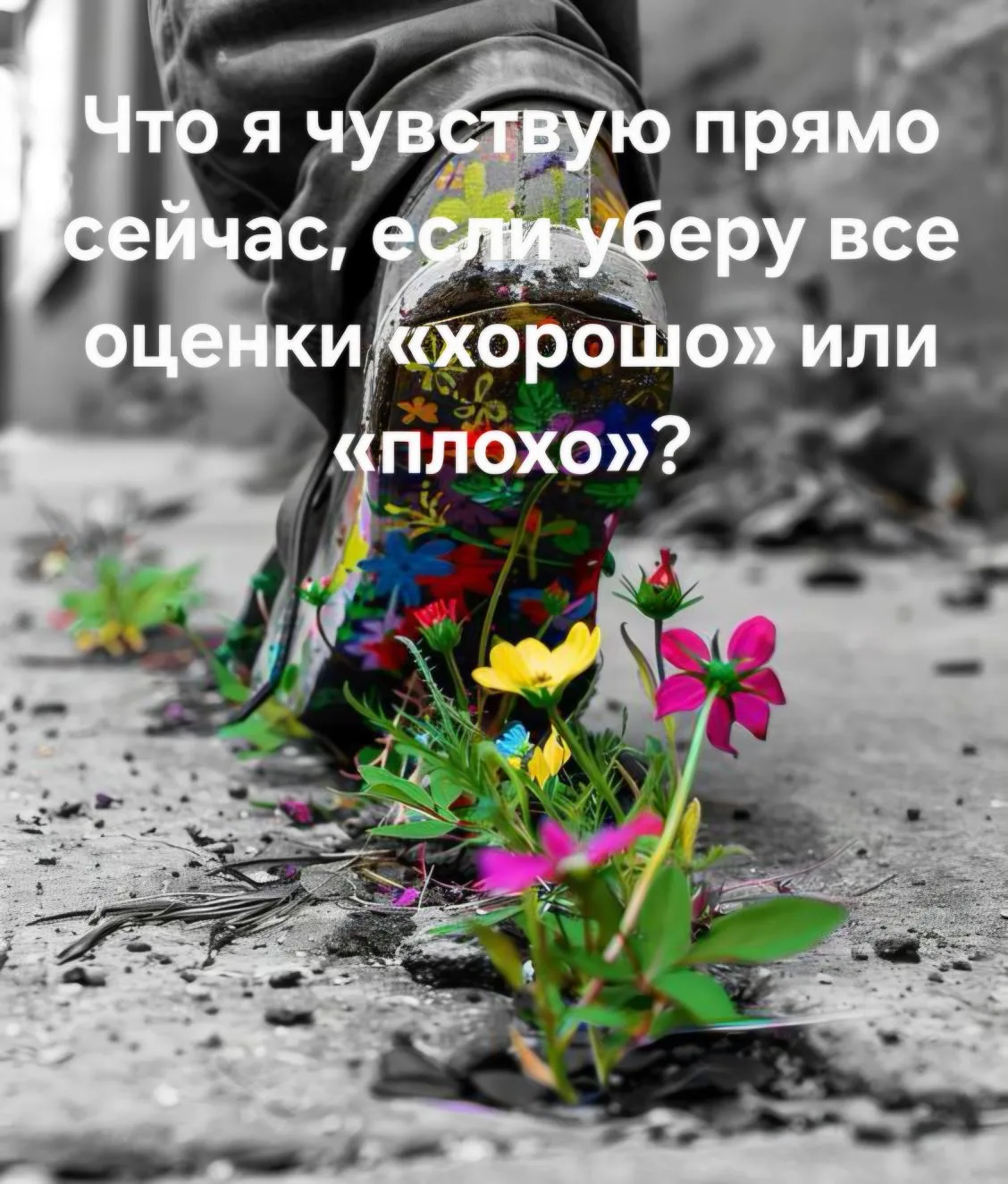 #Вопроснамиллион