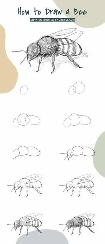 Пчелка поэтапно