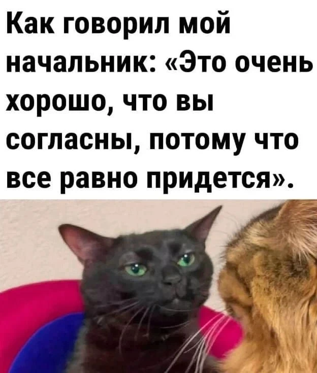 Минутка юмора 😁