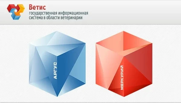 🔔 Обновление «Аргуса» и «Меркурия»: что изменится с 9 июня