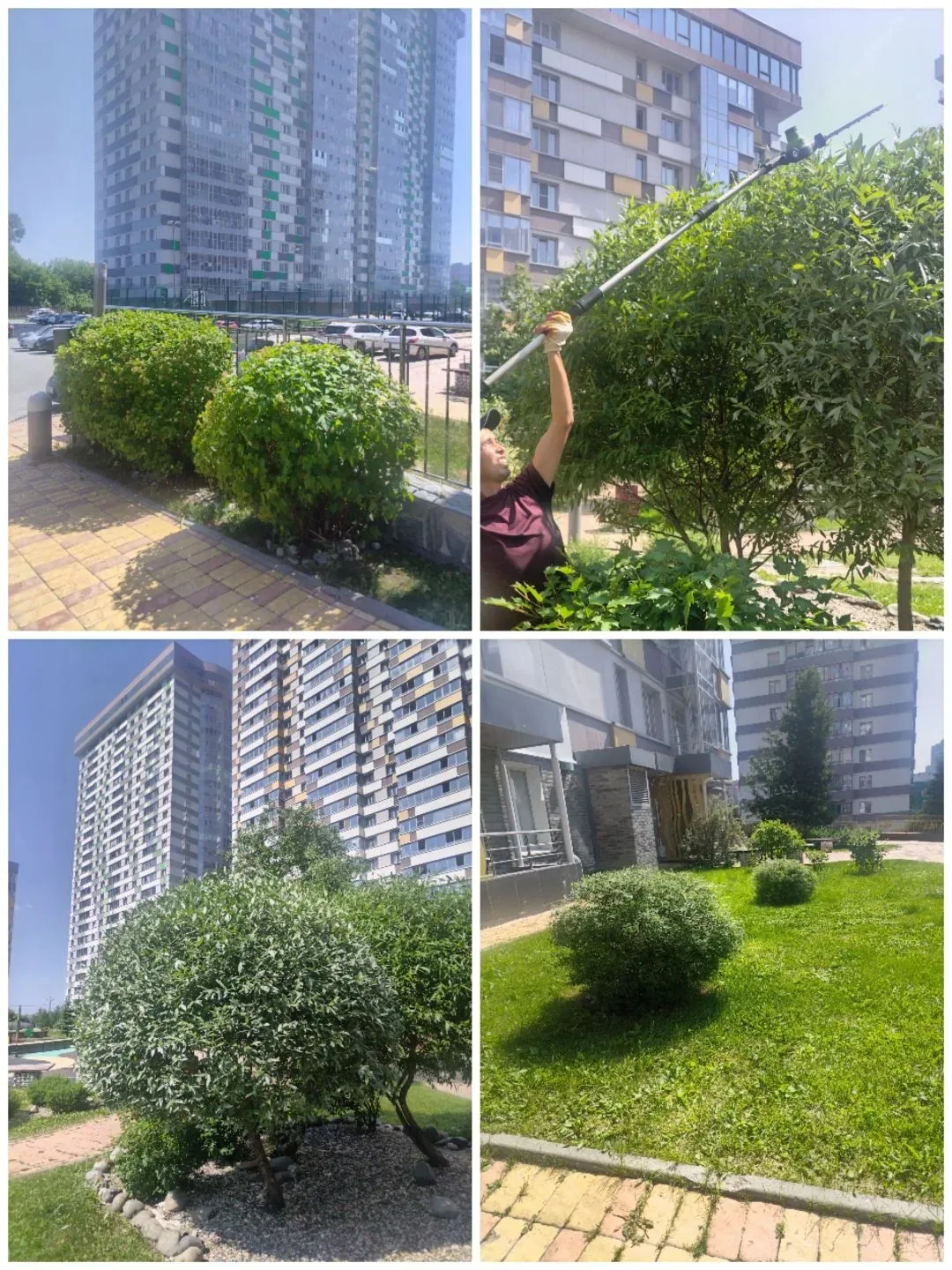 Верхний парк.