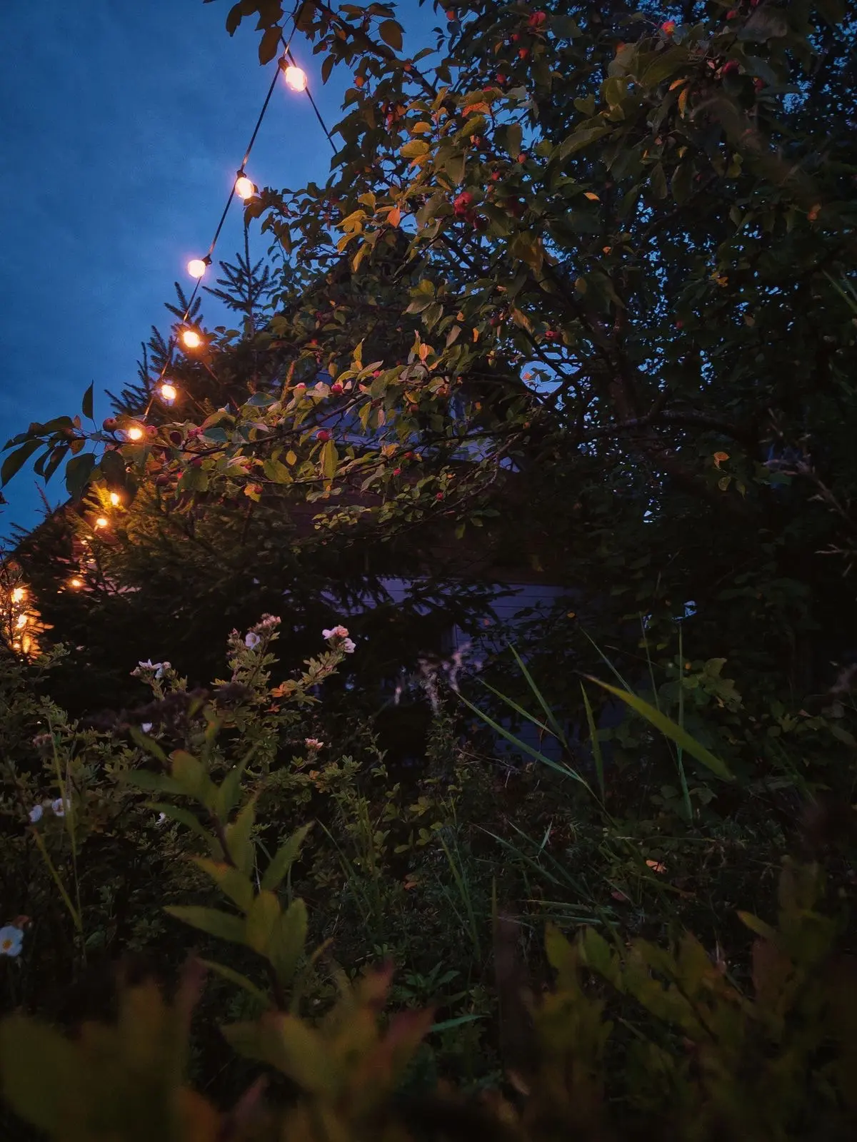 Добрый вечер, мои дорогие 🌙