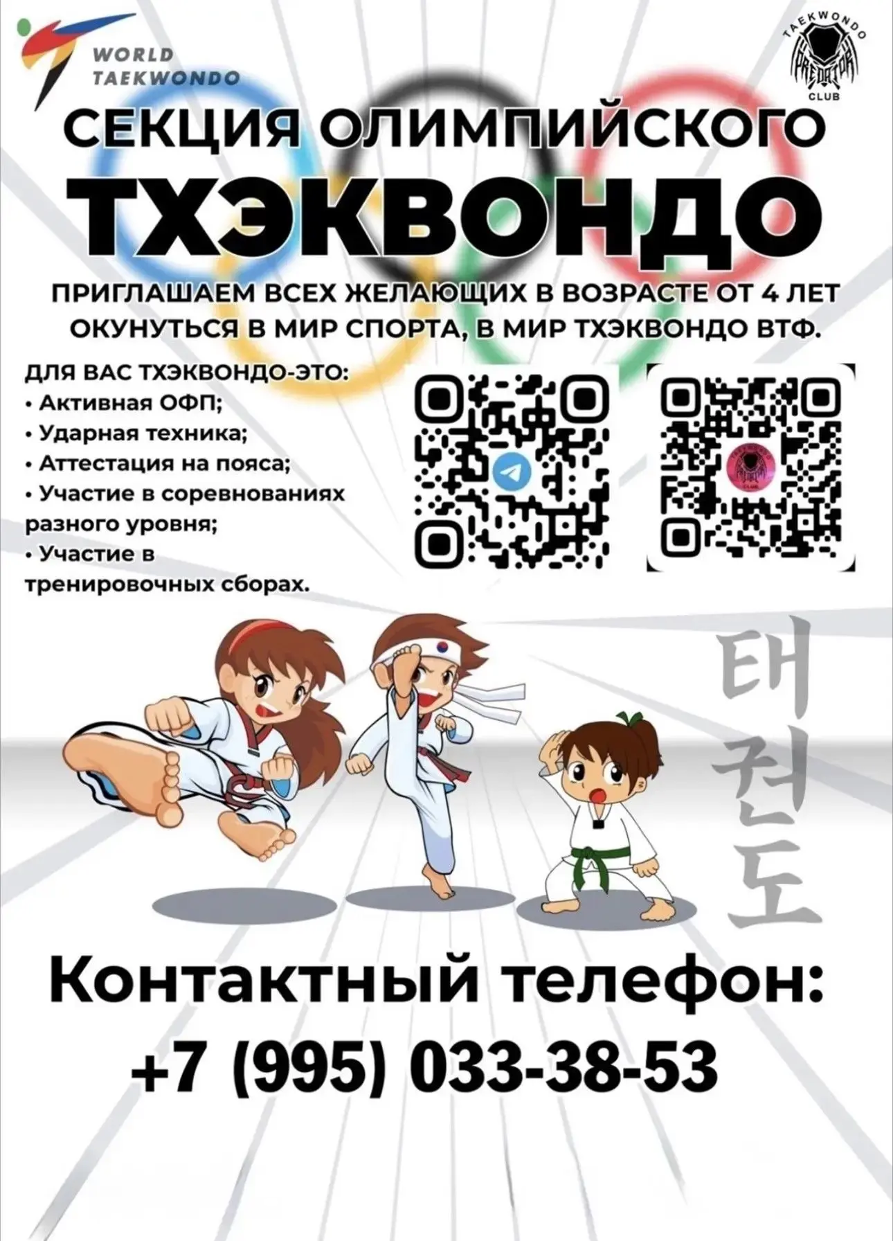 Идет набор  в секцию олимпийского Тхэквондо в